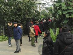-北京植物园-展览温室