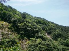 -罗田天堂寨风景区