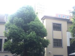 -徐家汇源景区-衡山坊