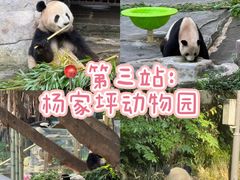 -大虎老火锅(直港大道店)