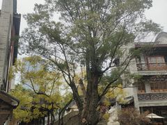 -龙潭水乡