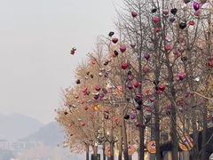 -杭州湖滨in77