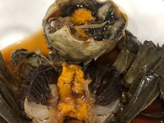 -红灯笼龙凤饭店(宁波老字号店)