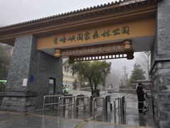 -青峰峡国家森林公园