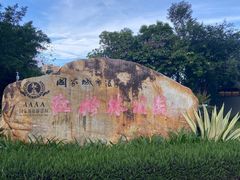 -大亚湾红树林城市湿地公园