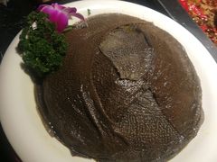 -二荆条·蜀鲜汇城市森林火锅