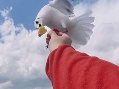 -海埂大坝