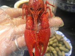 -骄傲de小龙虾 · 全羊馆(新北万达店)