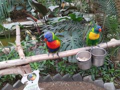 -南宫五洲植物乐园