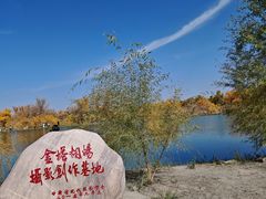-金塔沙漠胡杨林景区