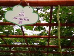 -东南花都花博园