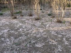 -大港湿地公园