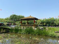 -同銮特种养殖场·龙虾垂钓