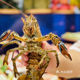 第六季自助餐厅（北太平庄店）