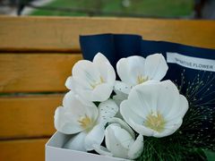 -Native Flower 莱提花艺(南海新天地广场店)