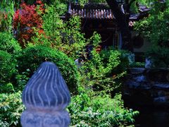 -趵突泉景区