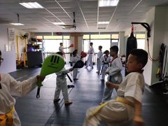 -金翼跆拳道巴西柔术拳击格斗学院