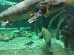 -华夏文旅海洋公园