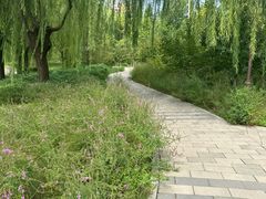 -元大都城垣遗址公园