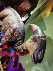 -恐龙探索乐园(磁器口店)