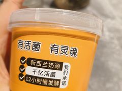 -1937青岛老味道·海肠捞饭·青岛菜(大鲍岛栈桥店)