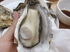 -悠然湯·汗蒸汤泉会馆