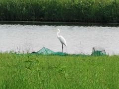 -春花秋色城市公园