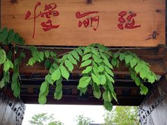 门面-慢丽江·云南野生菌土鸡锅(付家庄店)
