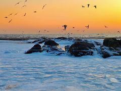 -老虎石海上公园