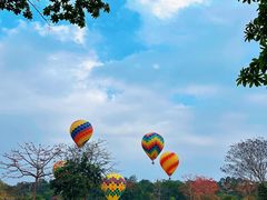-中国科学院西双版纳热带植物园