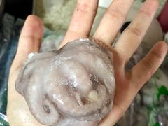 -双福水果批发市场