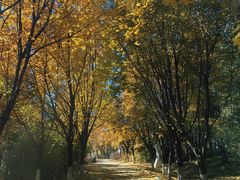 -长春世界雕塑园冰雪艺术天地