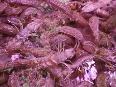 -滨海新区濒开里菜市场