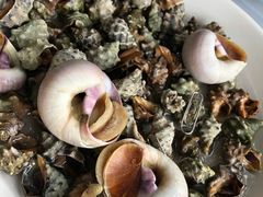 -胖大嫂渔家排档·全海景餐厅(渔村店)