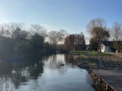 -溱湖国家湿地公园