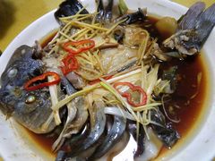 -煲来饱去冷水鱼