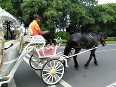 -太湖湾开元名庭大酒店