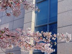-南京明基医院