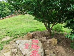 -缥缈峰景区