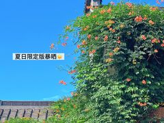 -栗酥饼(南长街店)