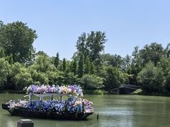 -溱湖国家湿地公园