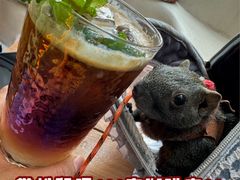 -Sirena海妖日咖夜酒