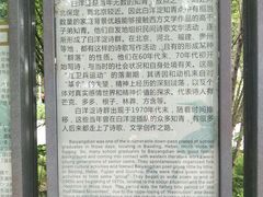 -白洋淀景区