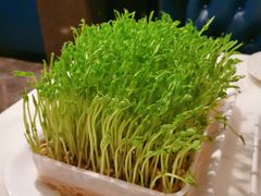 -美姿水荟美食水疗