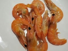 -威珀斯酒店·珀萃美食餐厅 | 海鲜刺身·现烤生蚝·特色烤肉