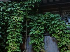 -南翔古镇