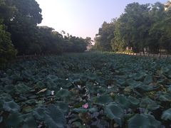 -广西大学(大学东路校区)