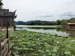-湘湖大院(越王路店)