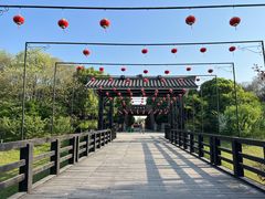 -合肥三国新城遗址公园