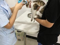 -创凡宠物医院·骨专科  猫科中心(西乡分院)